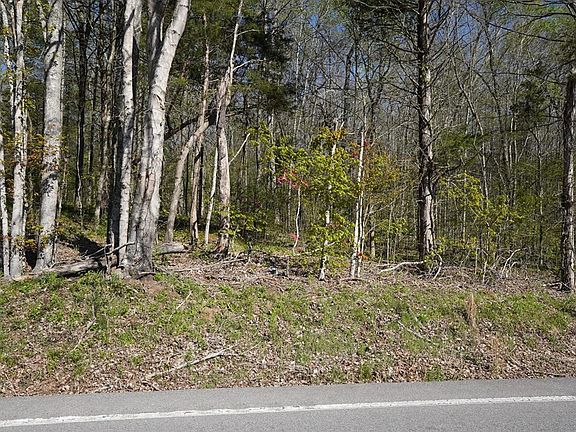 4th image of 4205 Highway 49/lot #3