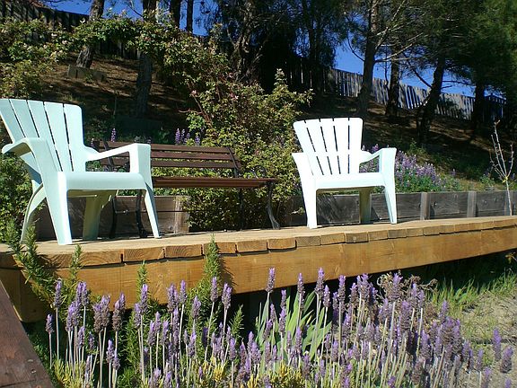 Deck surrounded by flowers