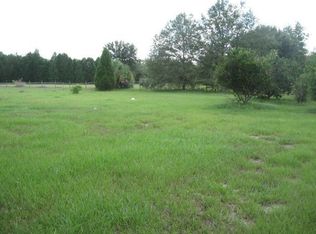 613 Park Rd, Mascotte, FL 34753