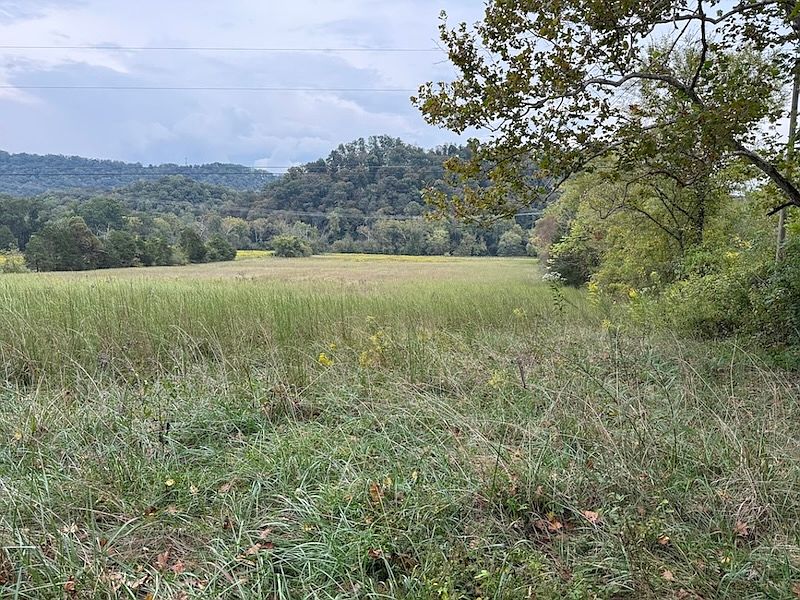 1st image of 9529 Pedigo Rd