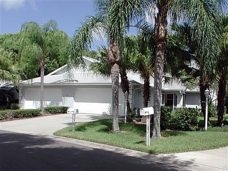 Lush Quiet Palm Lined Street