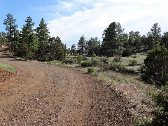 Hog Wash Rd.