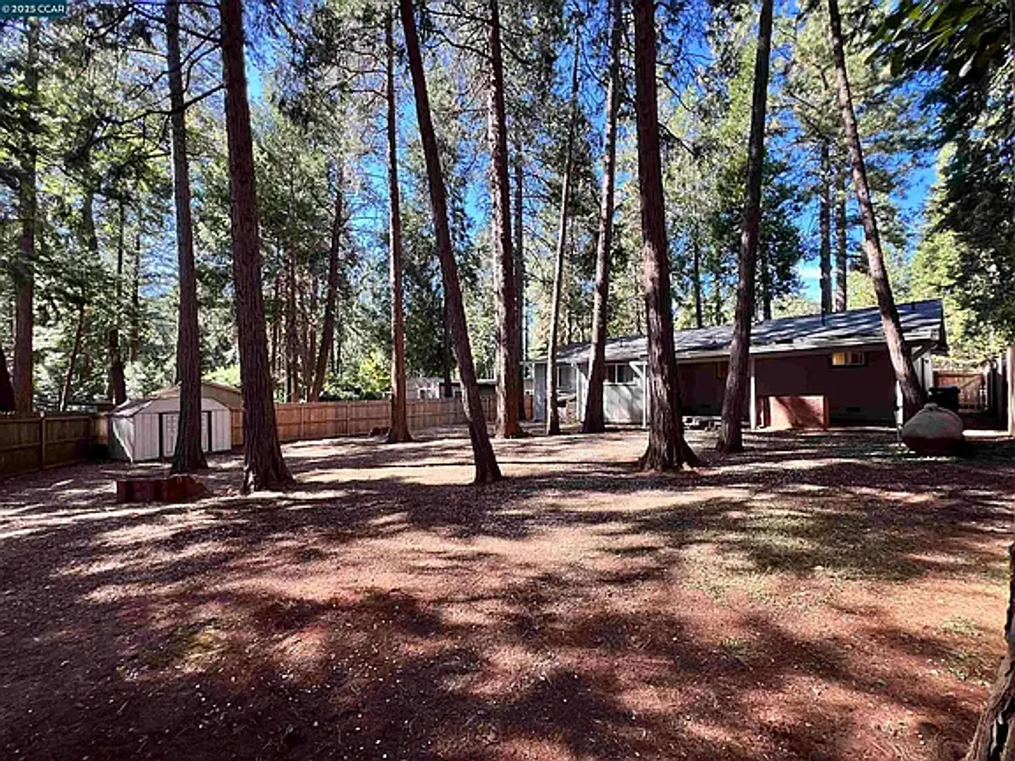 Magalia-2 bed 2 bath home with garage. Natural Landscaping, Newly remodeled — Photo 4