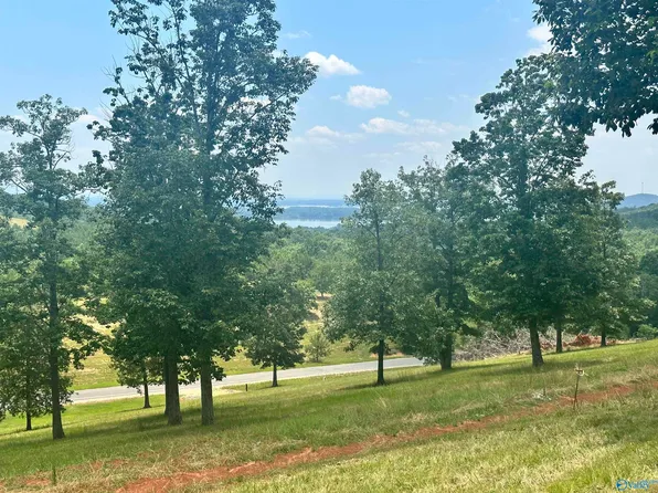 218 County Road 1022, Cedar Bluff, AL 35959