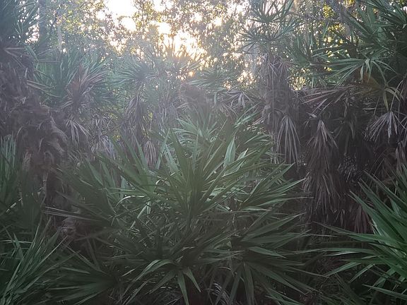 4th image of 0 Bay Cir