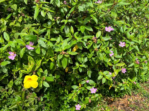 Ocean View Pkwy Lot 816, Pahoa, HI 96778