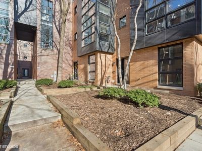 2046 W Willow St APT B, Chicago, IL, 60647