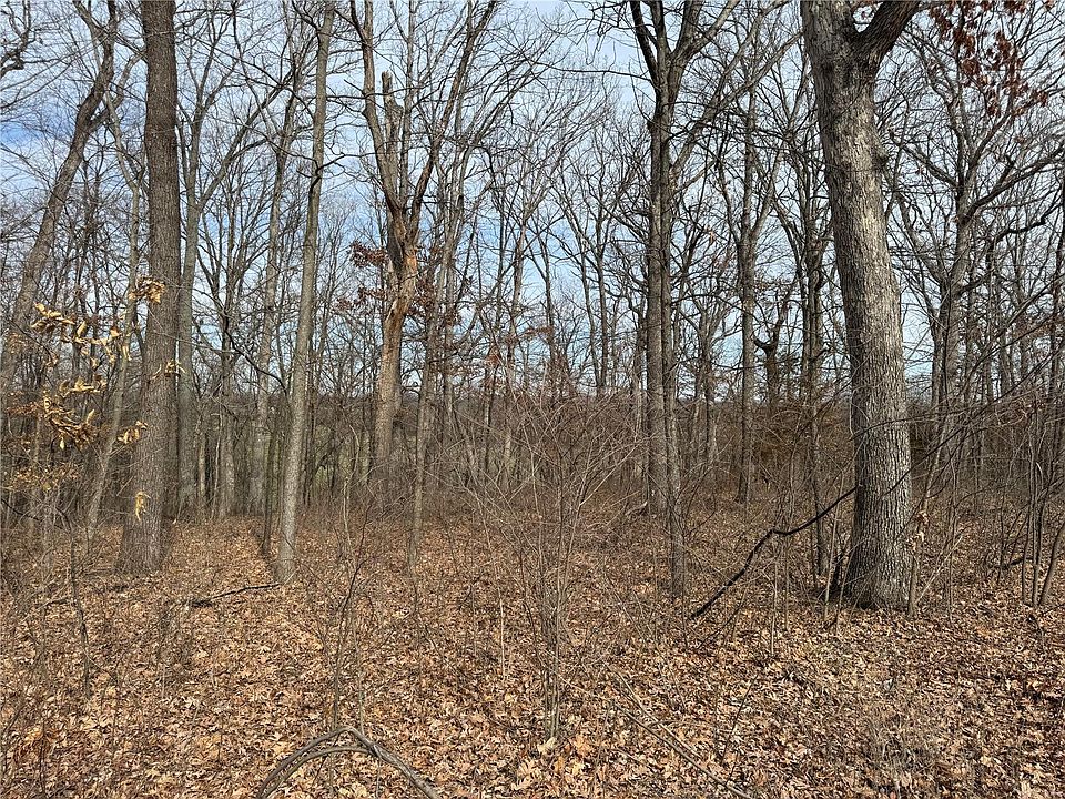 2nd image of 305 Shumard Oak Dr