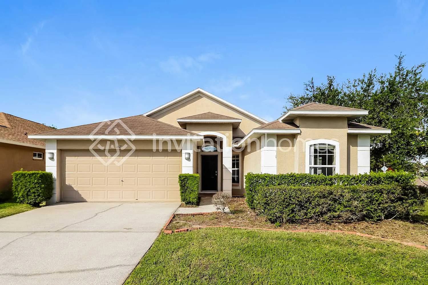 1021 Torreya Way Odessa, FL 33556 — Photo 1