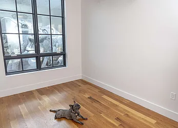 Rented by Manhattan Management LLC