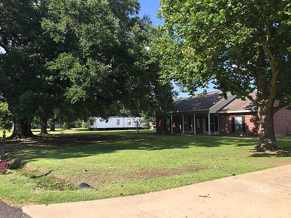 Front yard / Live oak tree