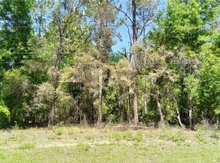 1275 W Union St, Hernando, FL 34442