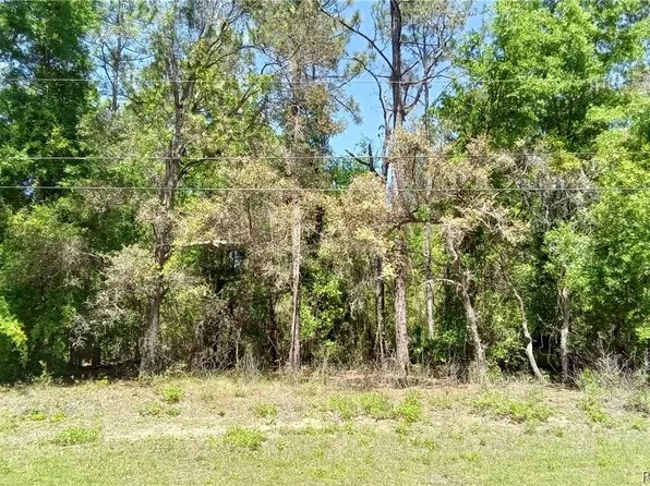 1275 W Union St, Hernando, FL 34442