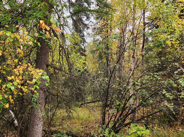Nhn Haystack Dr, Fairbanks, AK 99712