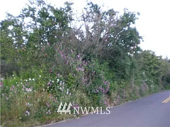 0 SW Birch Road photo 1