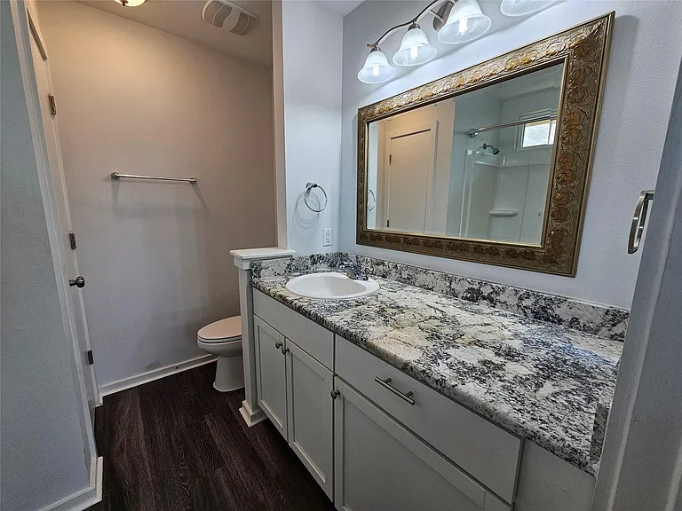 16721 Hamilton Point Cir — Photo 18