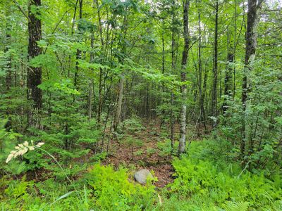 23 Union Hill Road, Fryeburg, ME, 04037