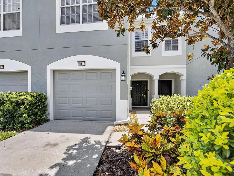 10137 Pink Palmata Ct