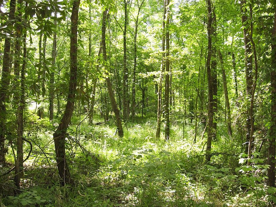 1st image of 4.2 Ac Gourd Creek Dr