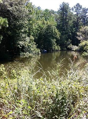 1st image of 25144 Highway 435