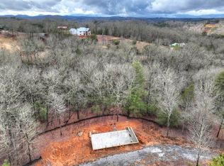 7-8 Jennifer Ln, Mineral Bluff, GA 30559