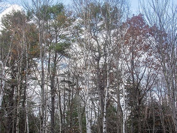 3rd image of Woodland Dr Lot 58