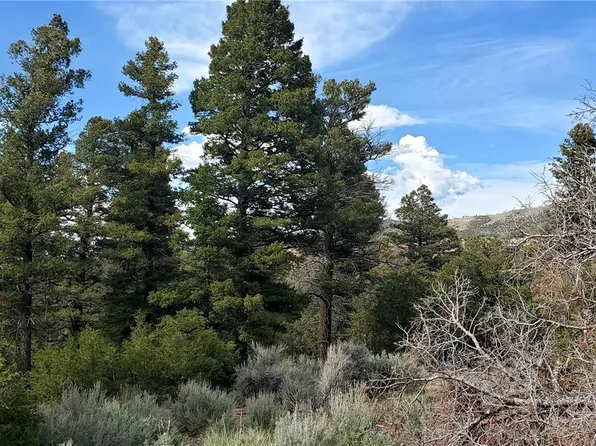 5003 Kermit Road, Fort Garland, CO 81133