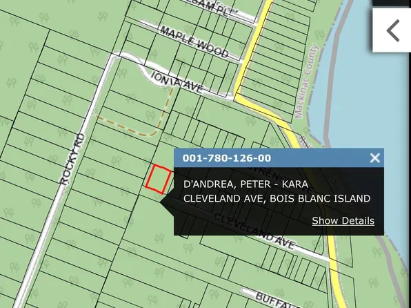780-126 Cleveland Ave, Pointe Aux Pins, MI 49775