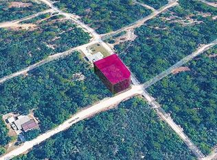 344 CARTIER AVENUE LOT 13, LAKE PLACID, FL 33852