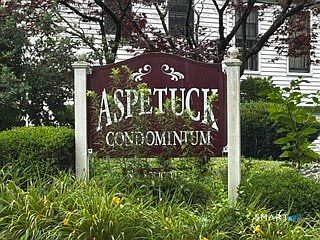 1st image of 85 Aspetuck Village #85