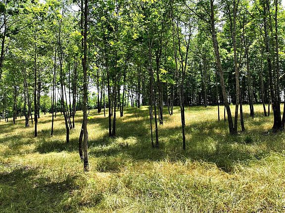 5th image of TRACT Four Polk Rd #158