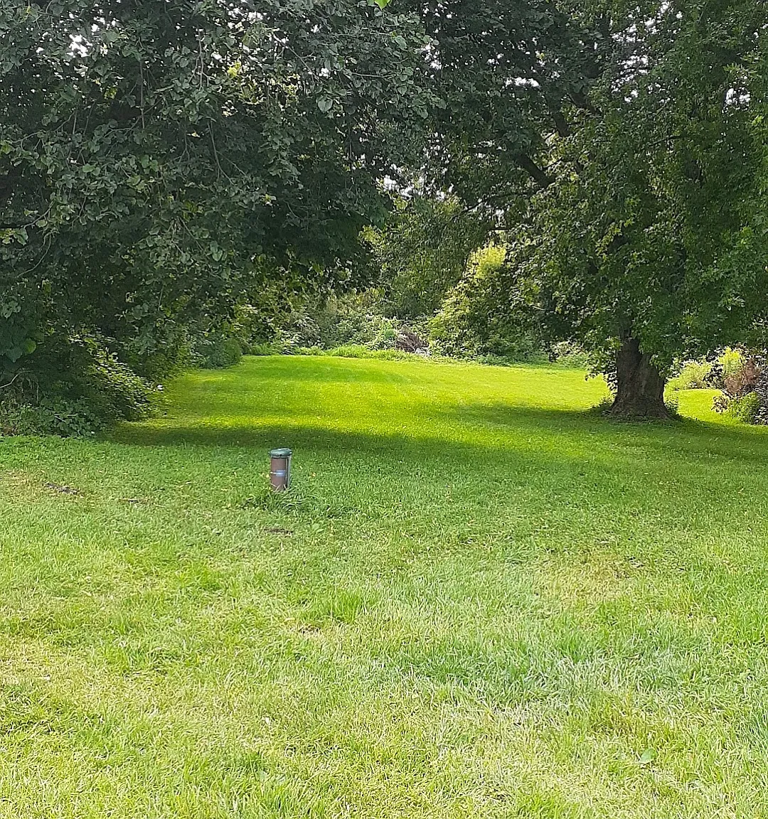 1 bed, 801 sqft, $1,200 — Photo 3