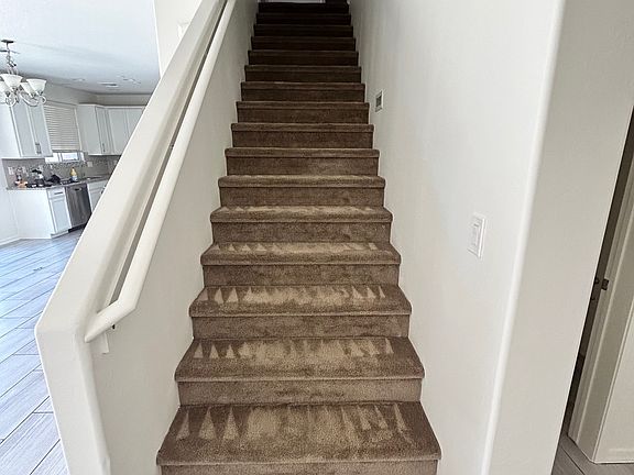 Recently Cleaned Carpets