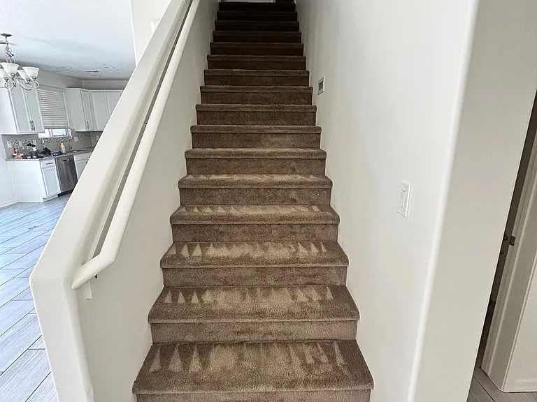 Recently Cleaned Carpets