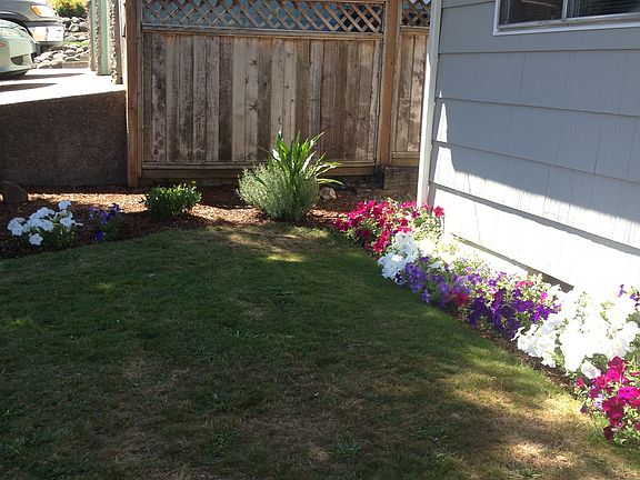 Front Yard