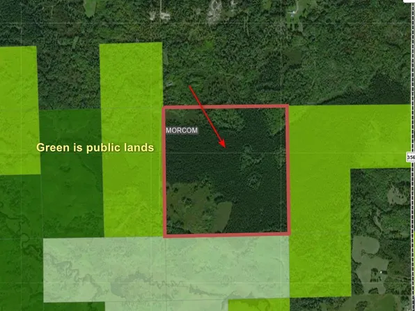 Sand Creek Rd, Side Lake, MN 55781