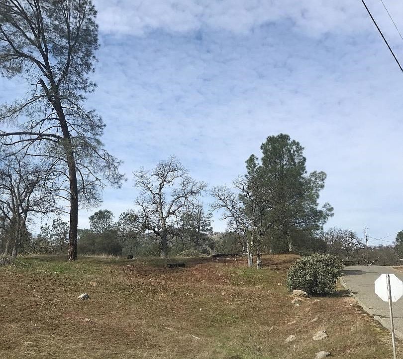 1st image of Deep Forest Dr