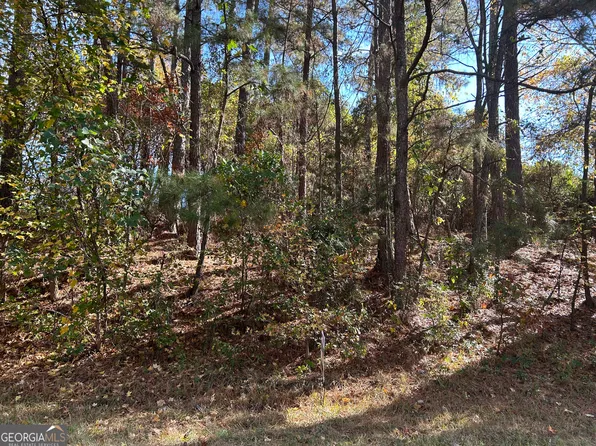 2090 Lee Peters Rd, Loganville, GA 30052