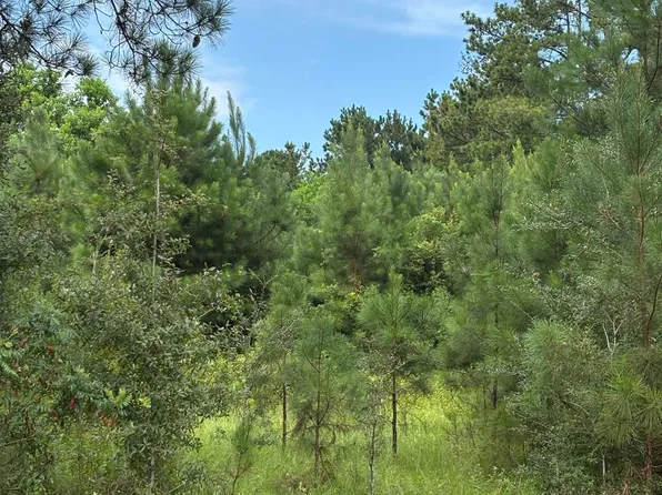 0 Fop Lodge Rd, Andalusia, AL 36421