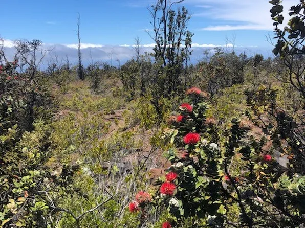 Pineapple Pkwy Lot 10, Captain Cook, HI 96704