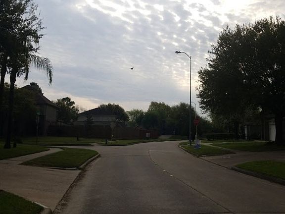 4th image of 4619 Breckenridge Dr