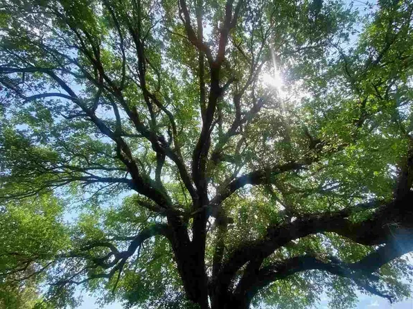 3914 Highway 52 S, Cheraw, SC 29520