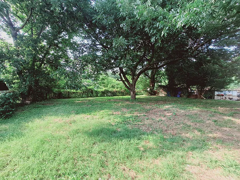 3831 Castle Hills Dr — Photo 15