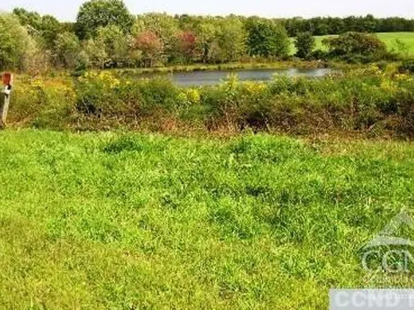 0 County Route 19, Livingston, NY 12541