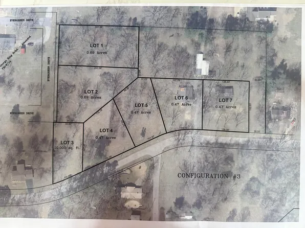 Lot 4 Webster Street, West Plains, MO 65775