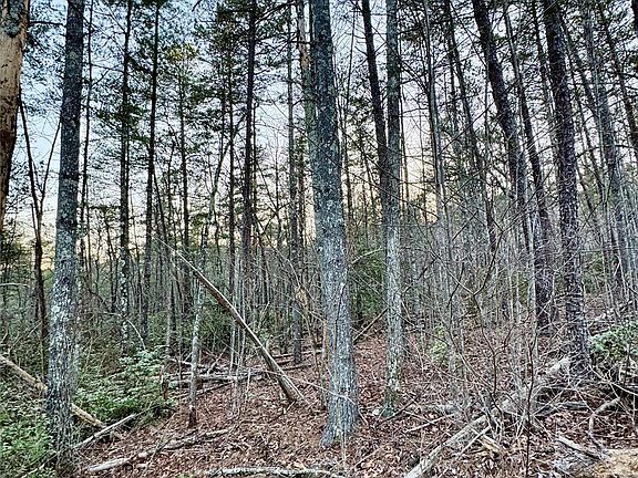 4th image of Quiet Creek Ln