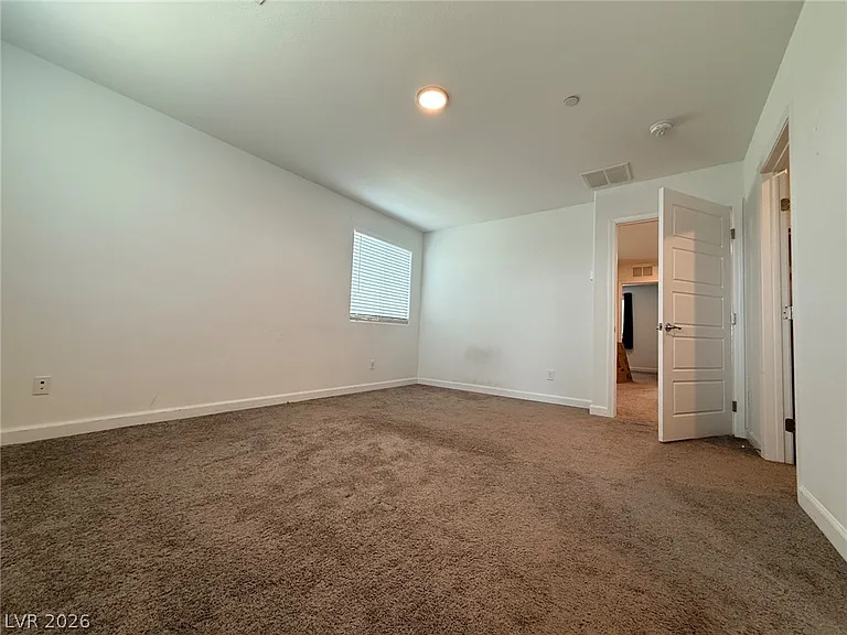 699 Pickled Pepper Pl — Photo 16