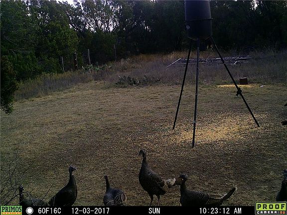 5th image of 7805 Wd Ct