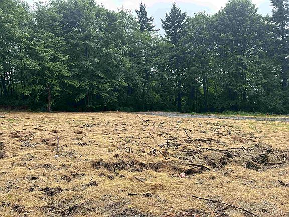 3rd image of 11083 River Rd Lot 1