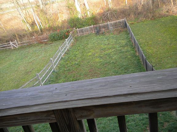 fenced yard